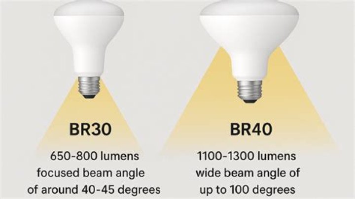 Are all BR30 bulbs the same size
