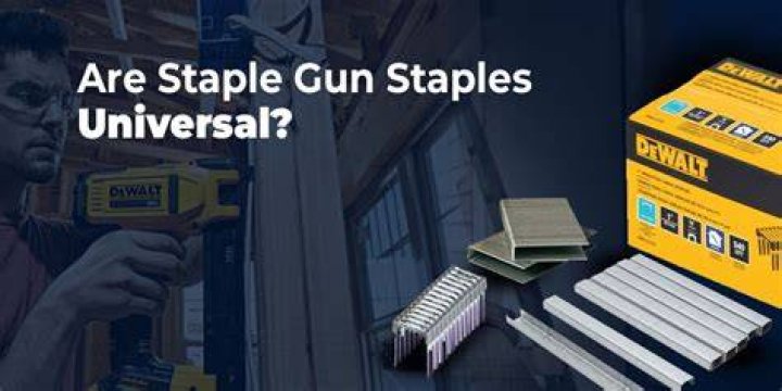 Are staple gun staples universal