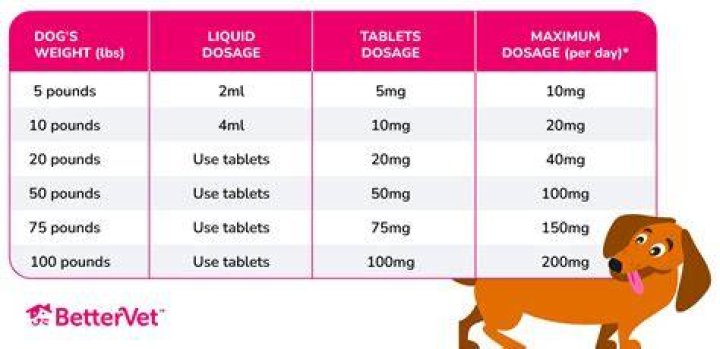Can I take Dramamine for vertigo