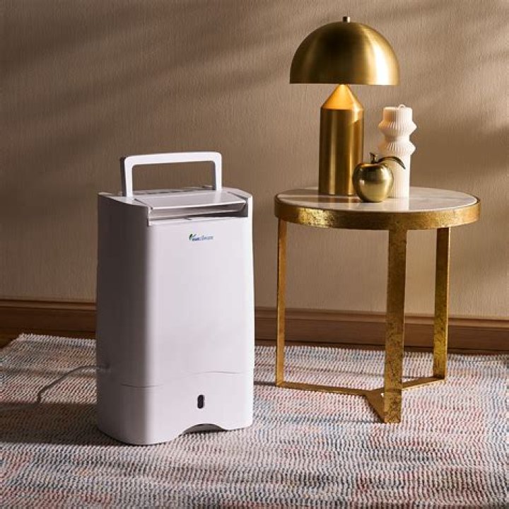 Do dehumidifiers cool down rooms