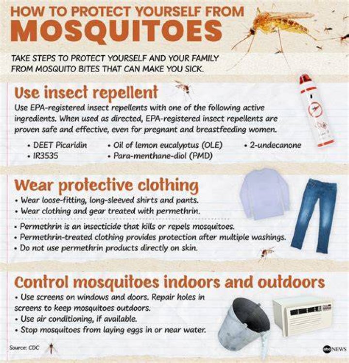 Do insect repellents really work