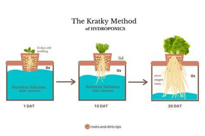Does Hydro grow faster than soil