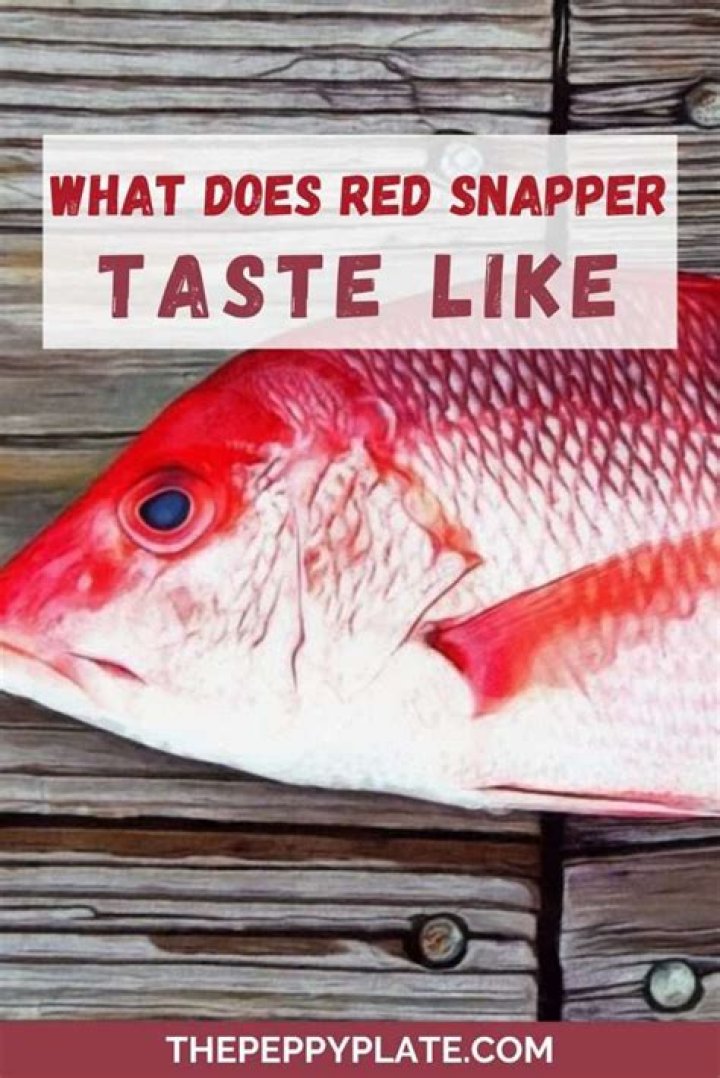 Does red fish taste like snapper