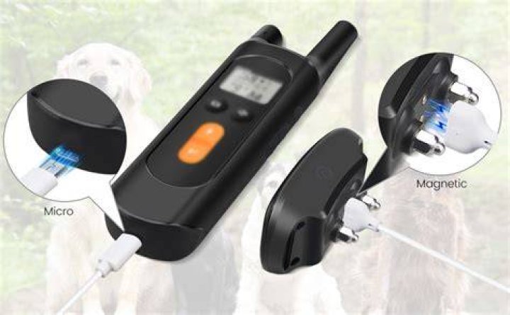 How do you charge a dog shock collar