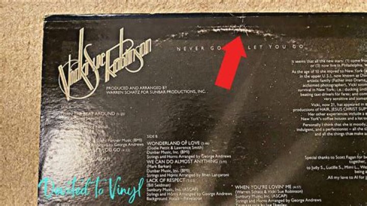How do you deep clean a vinyl record