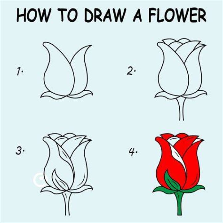 How do you draw a really good flower