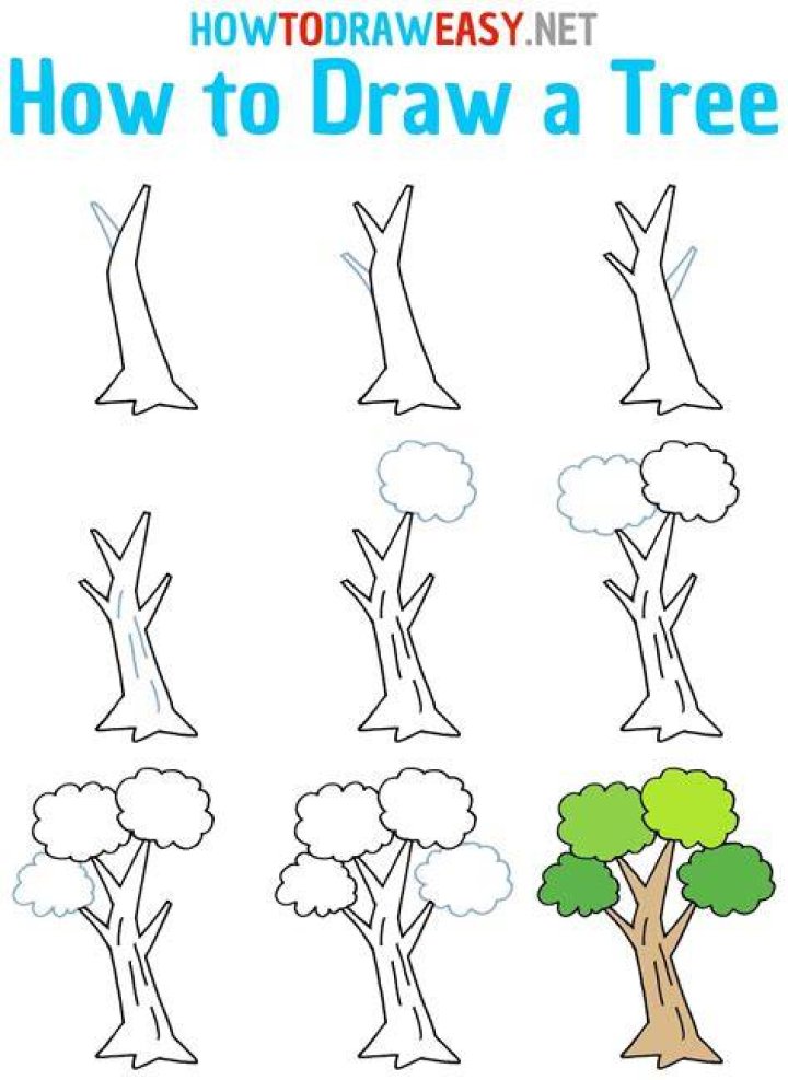 How do you draw a tree in easy steps