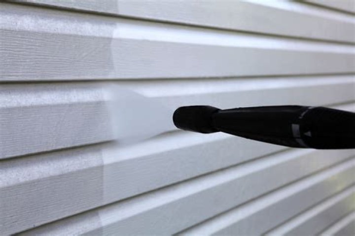 How do you get bugs off vinyl siding