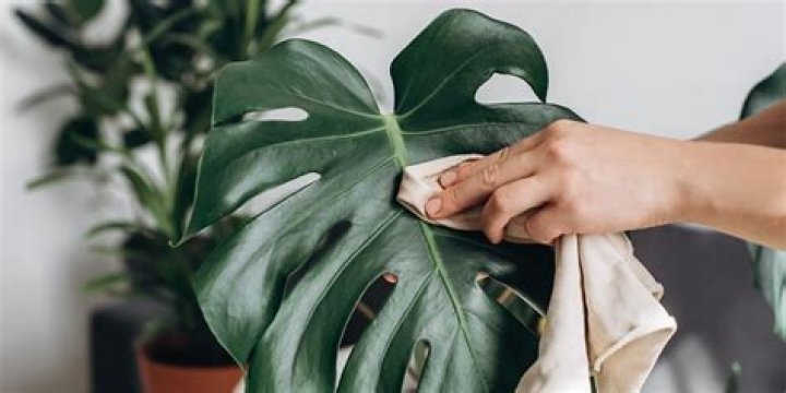 How do you get dust off silk flowers