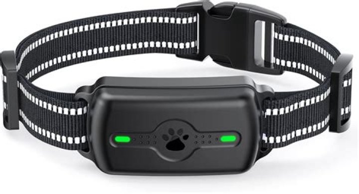 How much are electric collars for dogs