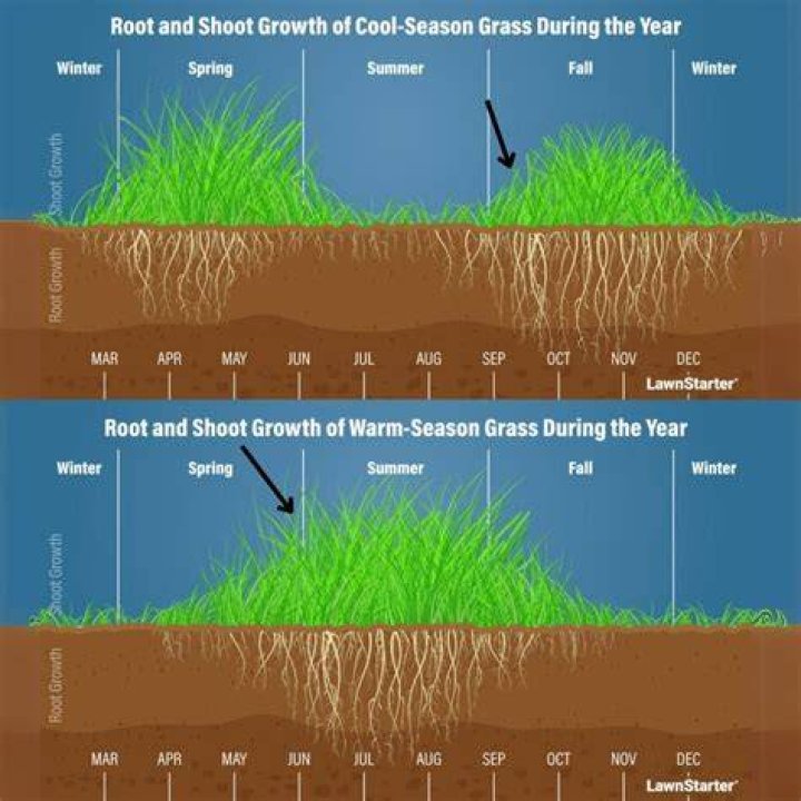 How much do grass cutters make an hour