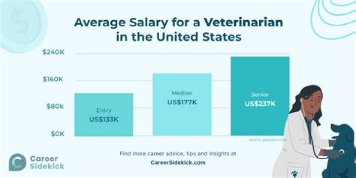 How much do vets charge for euthanasia