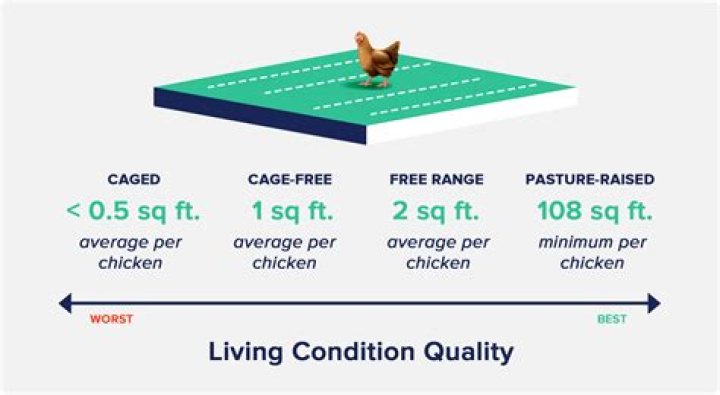 How much does a free range turkey cost