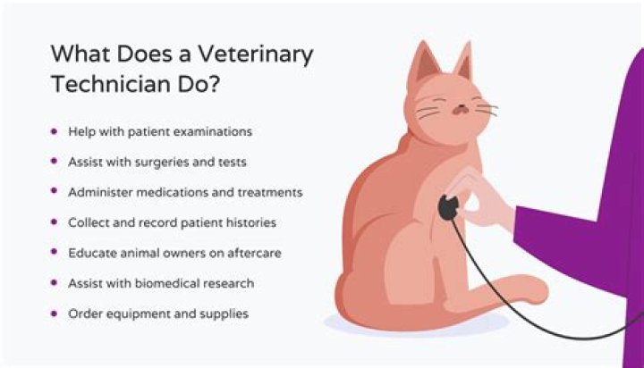 How much does a vet tech make at a zoo