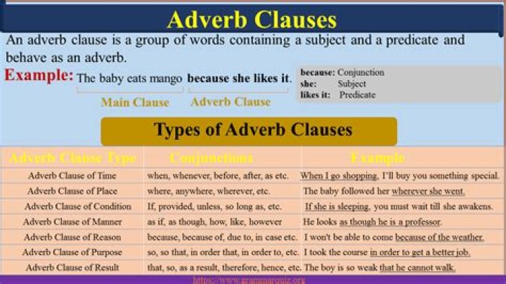 What are adverb clause and the types with examples