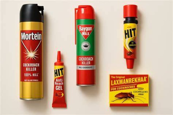 What kills cockroaches instantly
