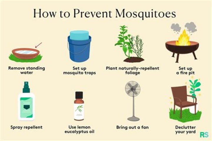 What scent keeps mosquitoes away