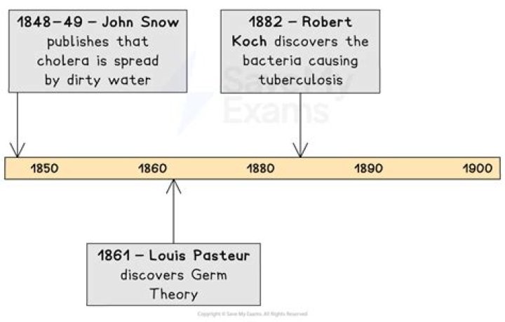 Why was germ theory so important