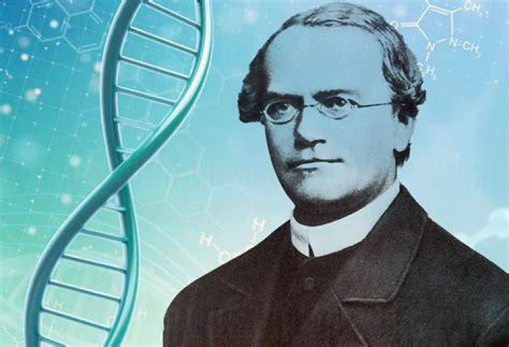 Why was Gregor Mendel successful