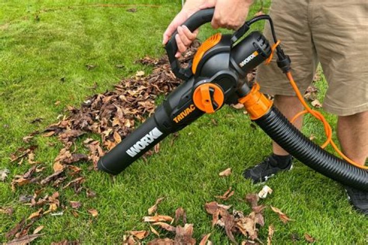 Will a leaf vacuum pick up grass