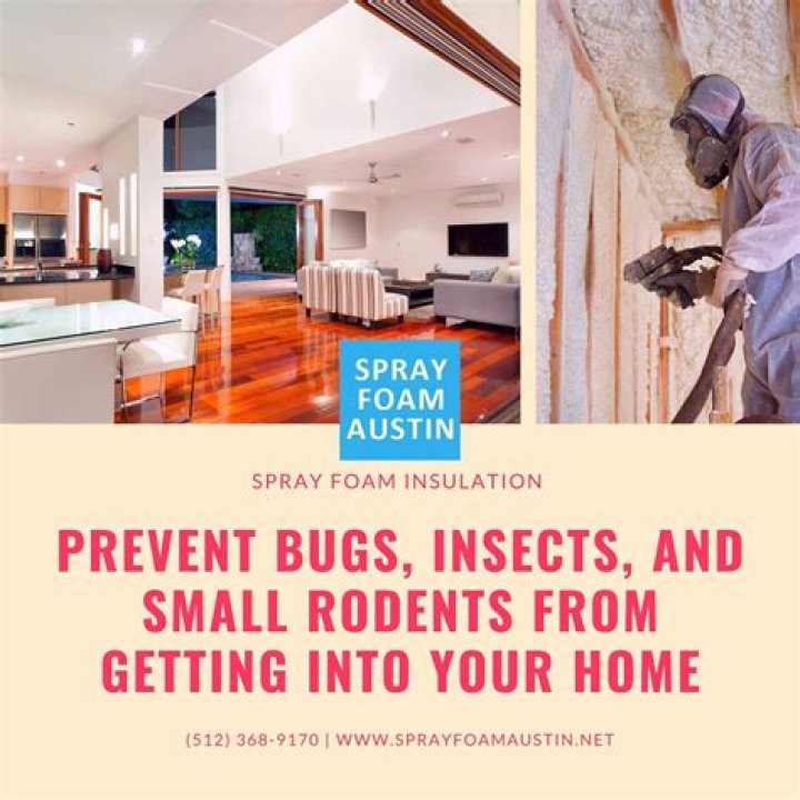 Will bugs eat through spray foam